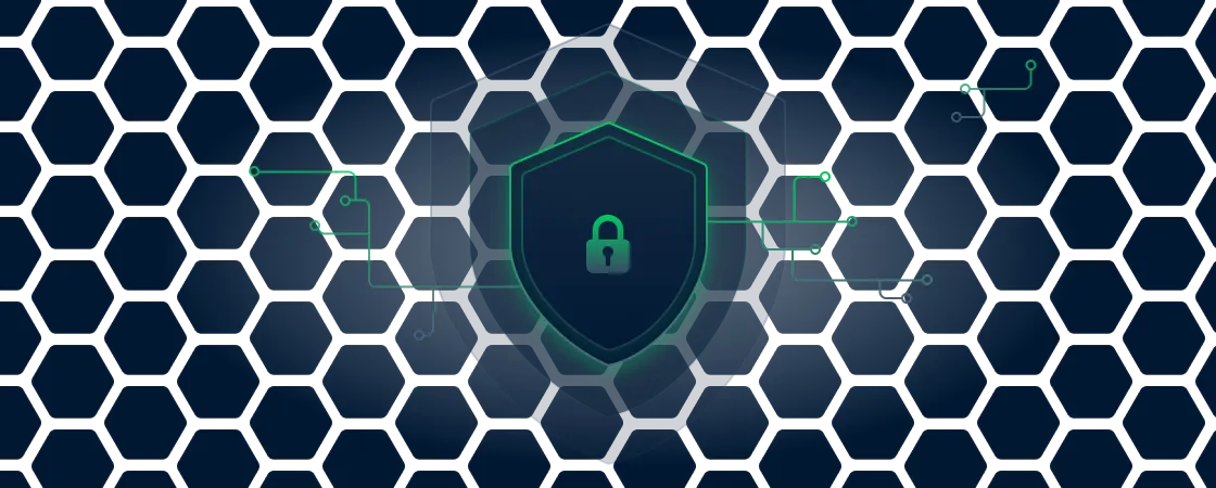 BISA multi-layer security architecture